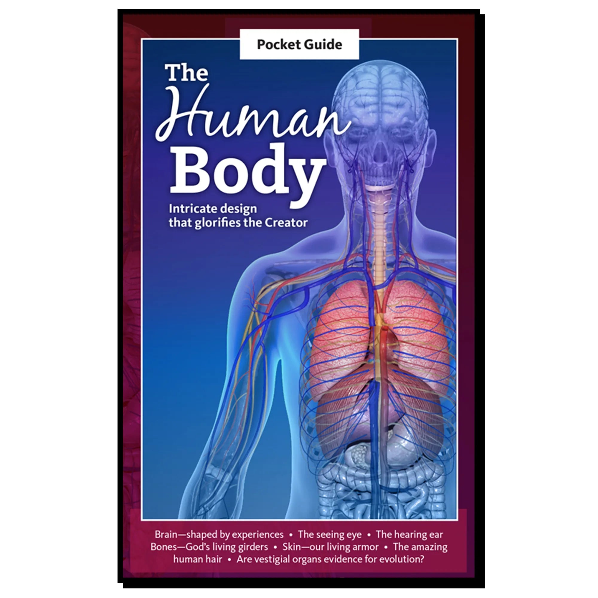 Pocket Guide - The Human Body: Intricate design that glorifies the Creator - 96 Pages - Brown's Hobby & Game