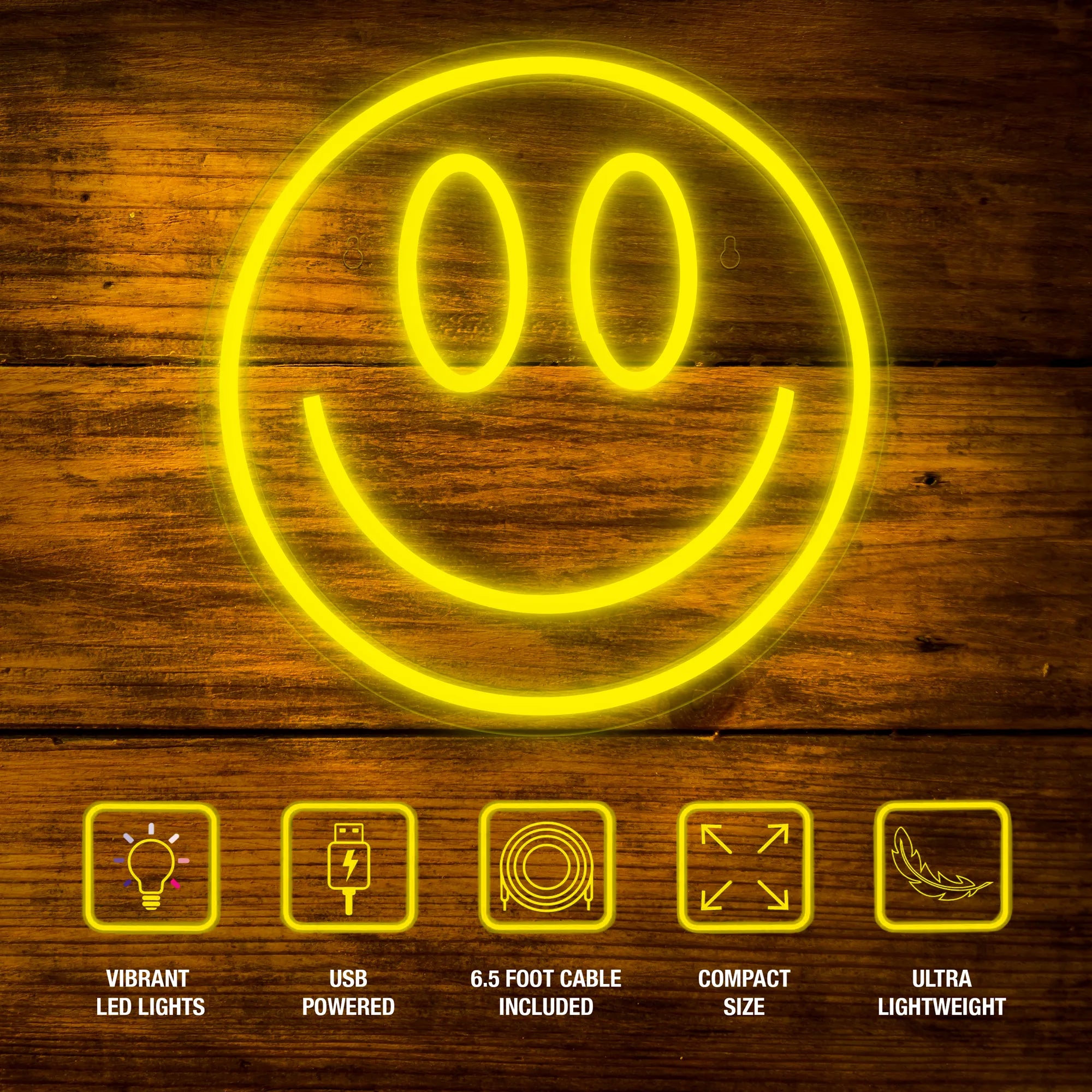 Smiley Face LED Neon Light Wall Sign - Age 8+ - Brown's Hobby & Game