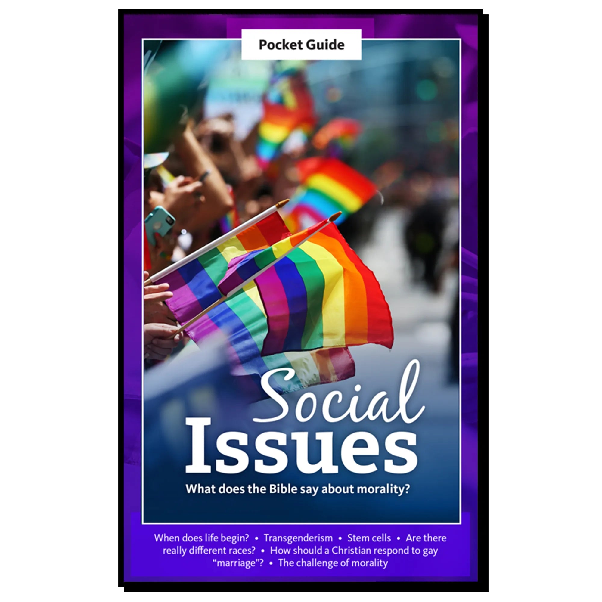 Pocket Guide - Social Issues: What Does the Bible Say About Morality? - 96 Pages - Brown's Hobby & Game