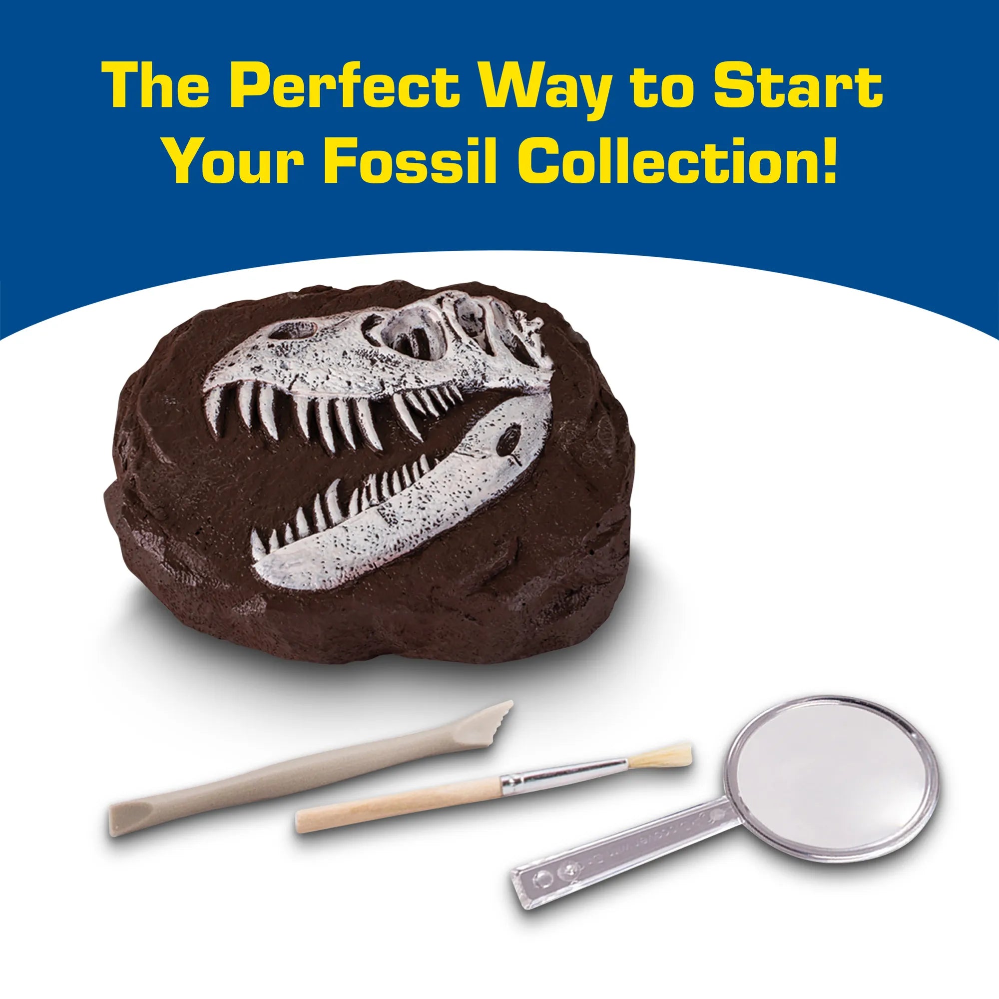 National Geographic Dino Fossil Dig Kit - Age 8+ - Brown's Hobby & Game