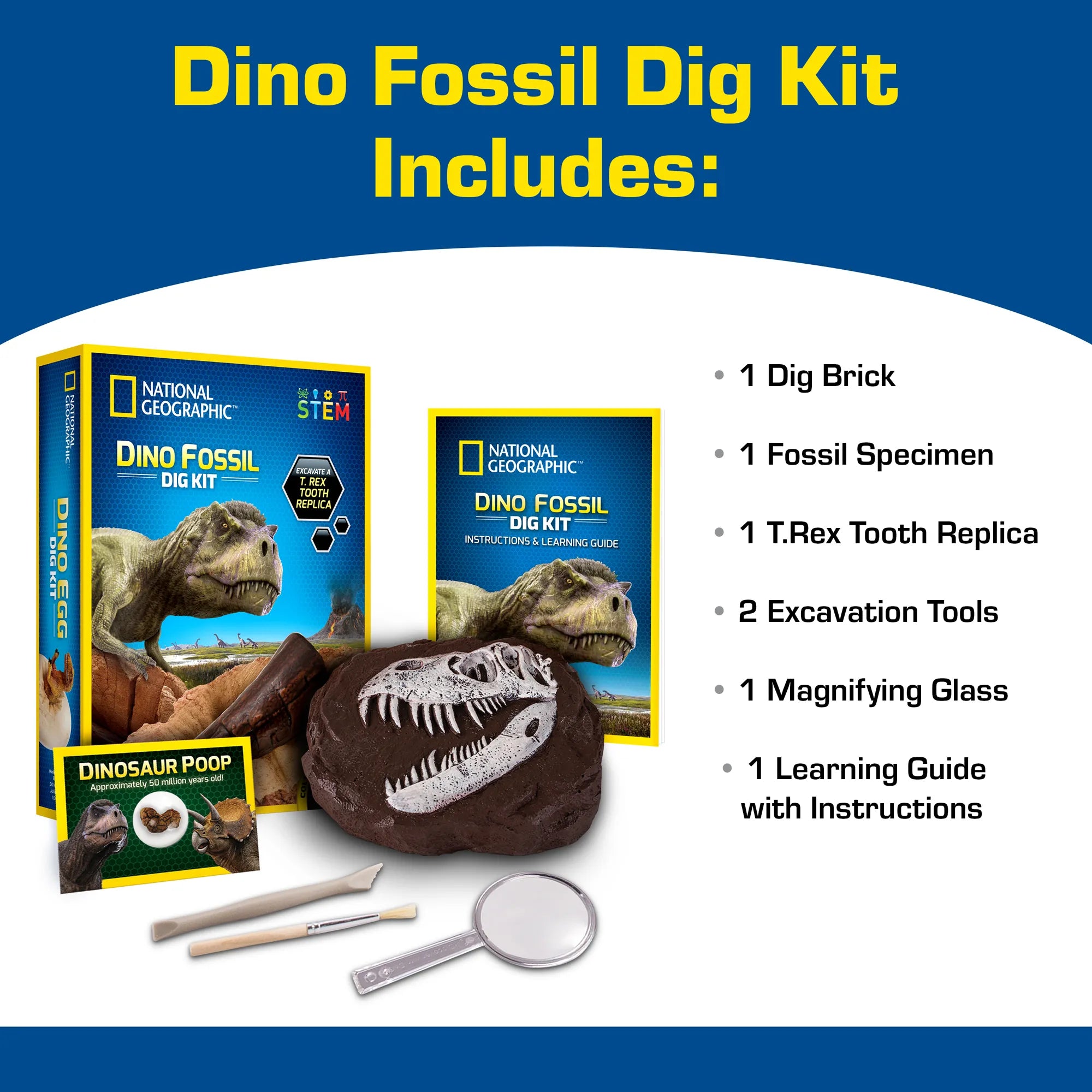 National Geographic Dino Fossil Dig Kit - Age 8+ - Brown's Hobby & Game