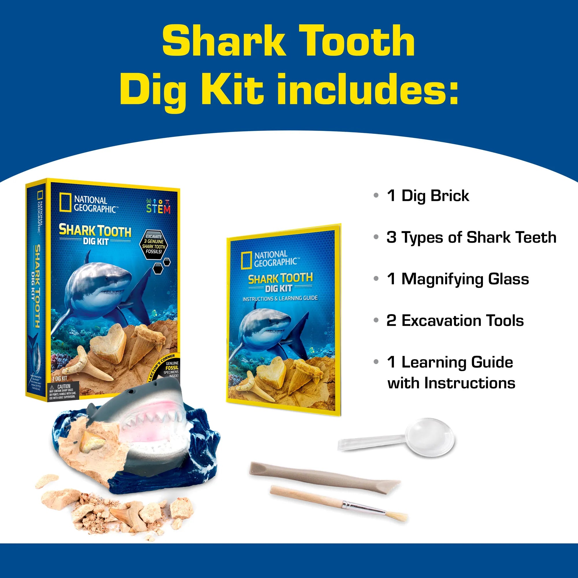 National Geographic Shark Tooth Dig Kit - Age 8+ - Brown's Hobby & Game