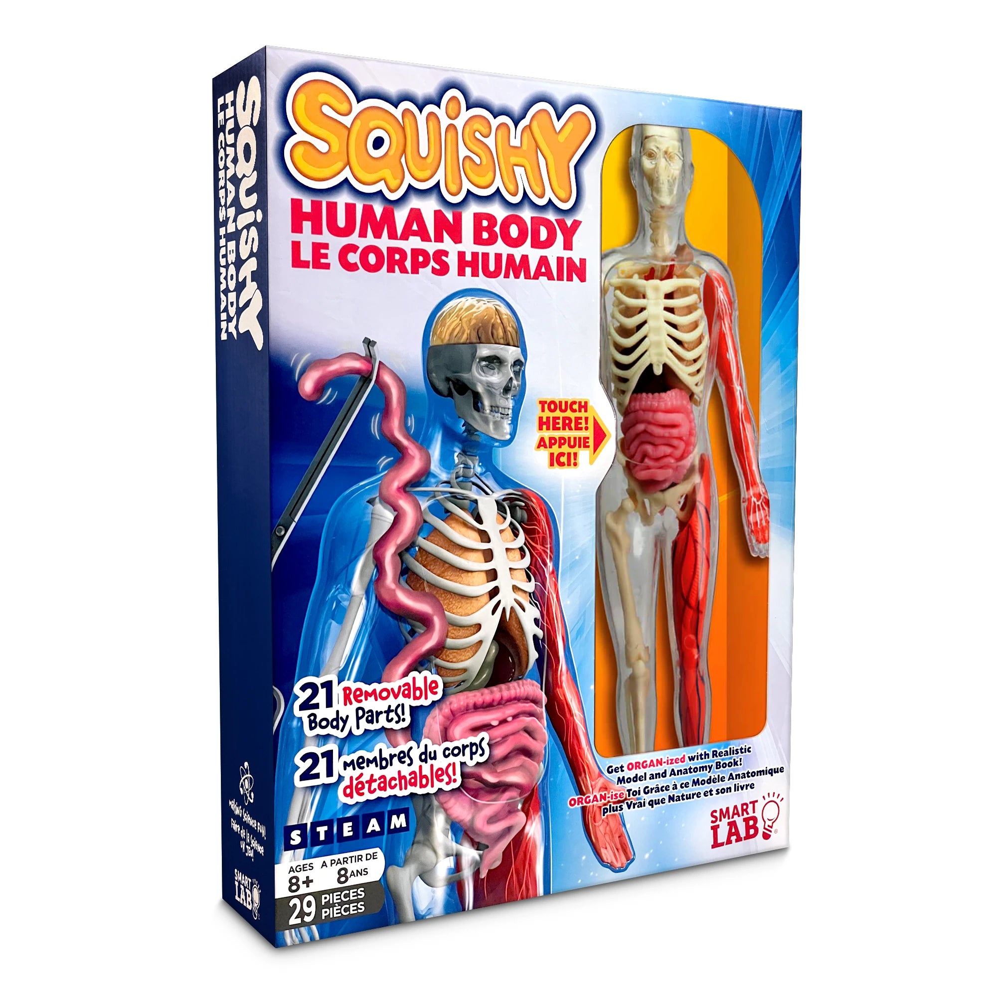 SmartLab Squishy Human Body - Interactive Anatomy for Kids - Age 8+ - Brown's Hobby & Game